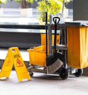 Day Porter Services _ Environment … Day Porter Services _ Environment ...